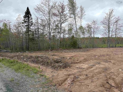 Lot If-2 56 Springreen Drive, Enfield, NS 