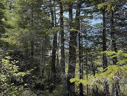 Lot CL4 Palmer Road West Wentworth, NS B0M 1Z0