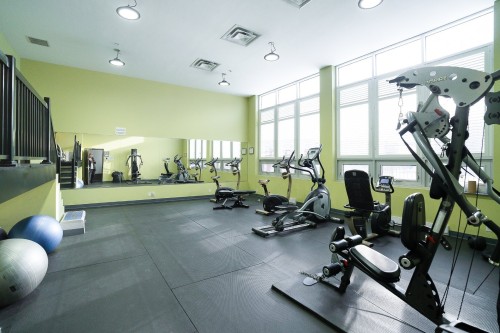 Salle d'exercice - 311-7000 Rue Allard, Montréal (Lasalle), QC - Indoor Photo Showing Gym Room