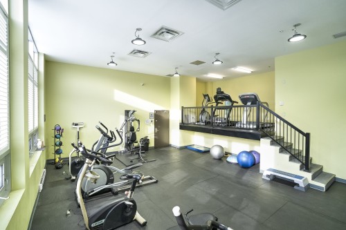 Salle d'exercice - 311-7000 Rue Allard, Montréal (Lasalle), QC - Indoor Photo Showing Gym Room