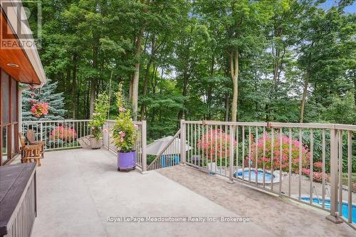 5590 Steeles Avenue W, Milton, ON - Outdoor With In Ground Pool With Deck Patio Veranda