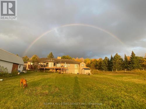 Rainbows! - 10655 Sideroad 17, Brock, ON 