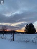 Beautiful wintry mornings - 