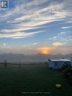 Misty mornings! - 