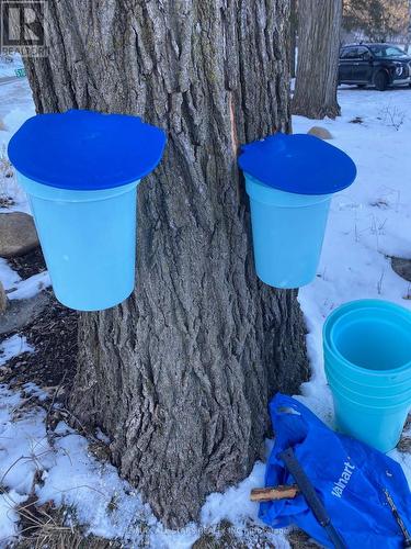 Tapping the Maples! - 10655 Sideroad 17, Brock, ON 