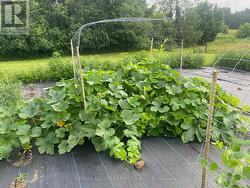 Room to grow! - 
