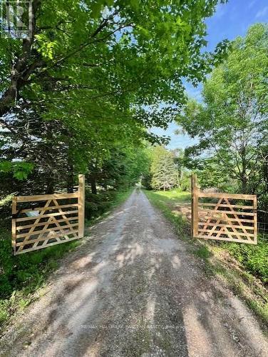 2279 Pigeon Lake Road, Kawartha Lakes (Bobcaygeon), ON - Outdoor