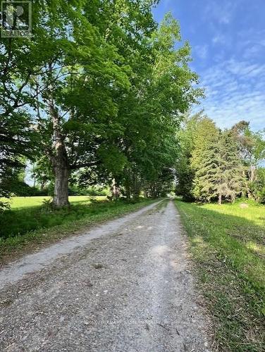 2279 Pigeon Lake Road, Kawartha Lakes (Bobcaygeon), ON - Outdoor