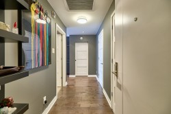 Hall d'entrée/Vestibule - 