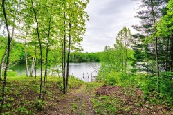 Water view - 