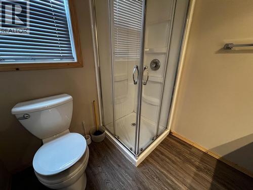 100 Schritt Crescent, Burns Lake, BC - Indoor Photo Showing Bathroom
