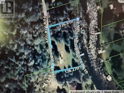 31 FIRE ROUTE 109 ROUTE  Trent Lakes, ON K0M 1A0