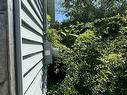 5907 395 Highway, South West Margaree, NS 
