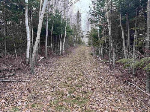 2058 New Campbellton Road, Cape Dauphin, NS 