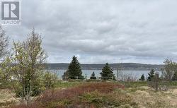 4-6 Menchions' Lane Bay Roberts, NL A0A 1G0