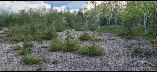 Vue d'ensemble - 295 Route 221 S., Lacolle, QC 