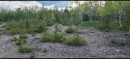 Vue d'ensemble - 295 Route 221 S., Lacolle, QC 