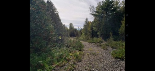 Vue d'ensemble - 295 Route 221 S., Lacolle, QC 