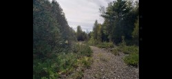 Overall view - 