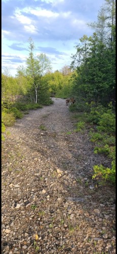 Vue d'ensemble - 295 Route 221 S., Lacolle, QC 