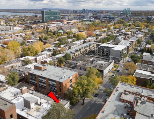 Photo aérienne - 2251 Av. Papineau, Montréal (Ville-Marie), QC - Outdoor With View