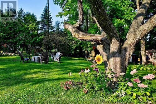 picturesque views - 20805 Brock Road, Brock, ON - Outdoor