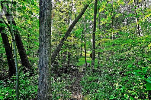 Lush greener - 20805 Brock Road, Brock, ON - Outdoor