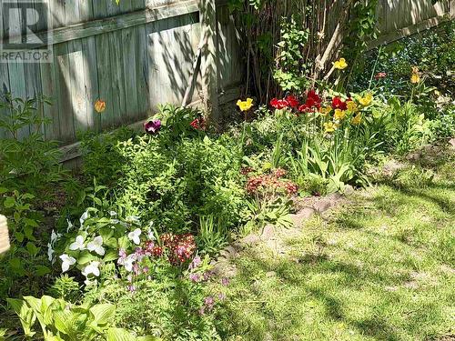 4 Silver Birch Dr, Sault Ste Marie, ON - Outdoor