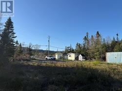 23 Hodgewater Line South River, NL A0A 3W0