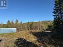 23 Hodgewater Line, South River, NL 
