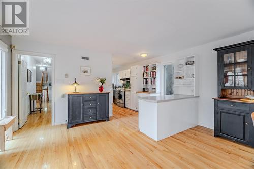 47 Empire Avenue, St. John'S, NL - Indoor Photo Showing Kitchen