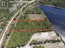 Lot 1 Third Pond, Glovertown, NL 