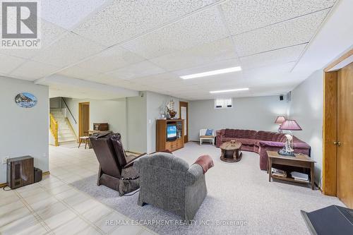 546 Dicenzo Drive, Hamilton, ON - Indoor Photo Showing Basement