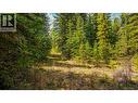 Lot 11 Pegasus Road, Horse Lake, BC 