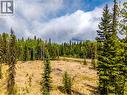 Lot 11 Pegasus Road, Horse Lake, BC 