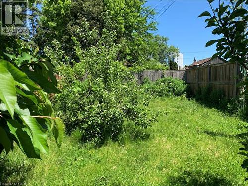 Expansive grassy yard with perimeter fencing - 405 Macnab Street N, Hamilton, ON 