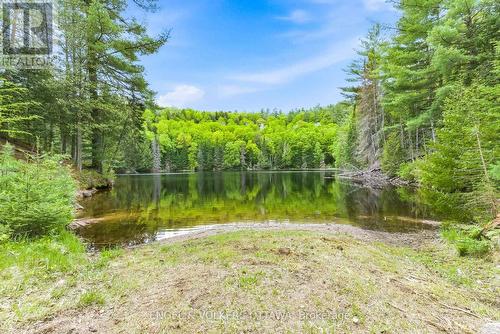 176 Little Bay Lane, Greater Madawaska, ON - Outdoor