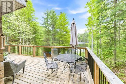 176 Little Bay Lane, Greater Madawaska, ON - Outdoor With Deck Patio Veranda With Exterior