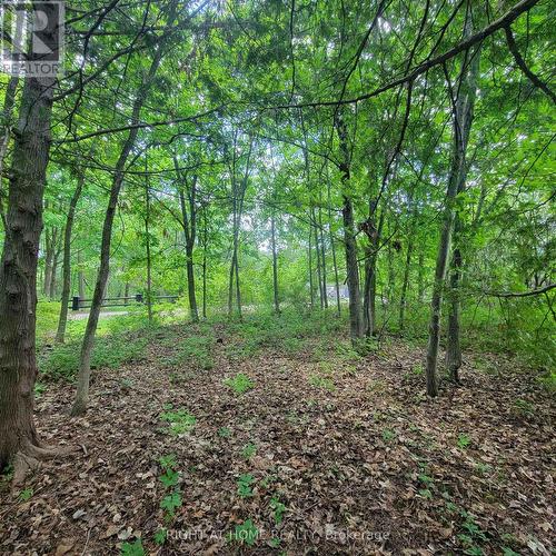 7 Beckenham Lane, Ottawa, ON 