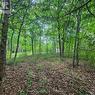 7 Beckenham Lane, Ottawa, ON 
