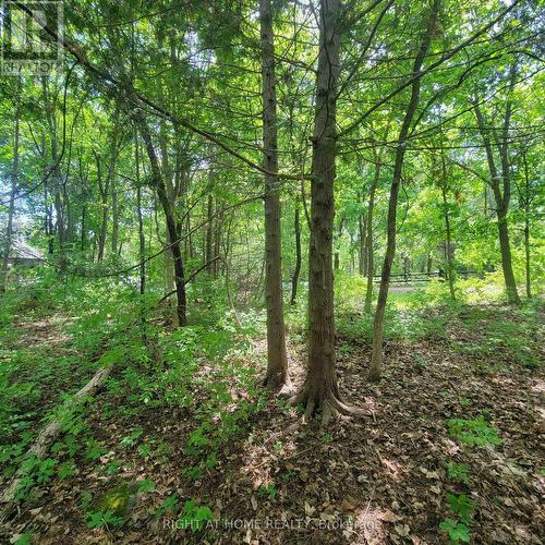 7 Beckenham Lane, Ottawa, ON 