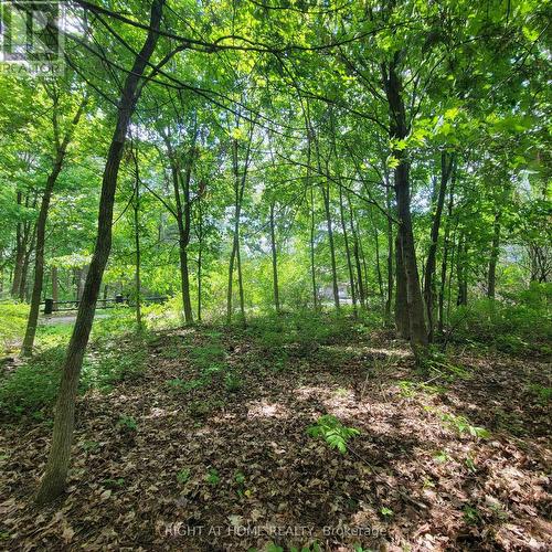 7 Beckenham Lane, Ottawa, ON 