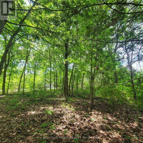 7 Beckenham Lane, Ottawa, ON 