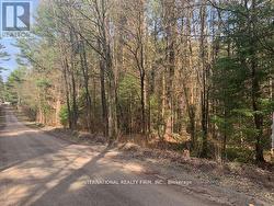 0 THE AVE ROAD N Kawartha Lakes, ON K0M 2A0