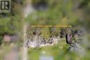 1026 Lester Street, Whitefish Falls, ON 