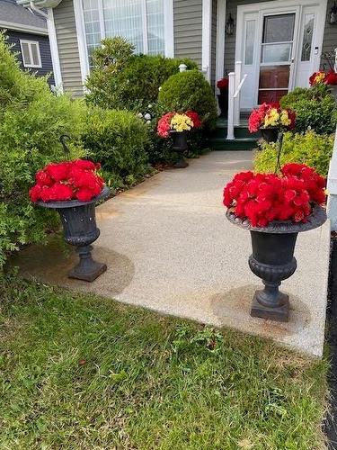 39 Cheyne Drive, St. John'S, NL - Outdoor