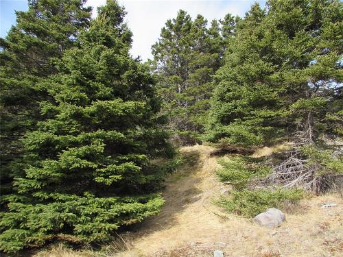 33 Cove Road, Colliers, NL 
