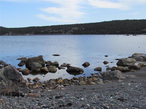 33 Cove Road, Colliers, NL 