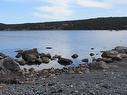 33 Cove Road, Colliers, NL 