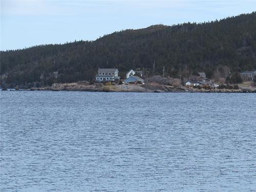 33 Cove Road, Colliers, NL 